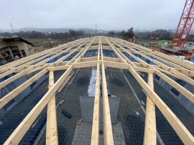 Koppeldach auf Reitstall